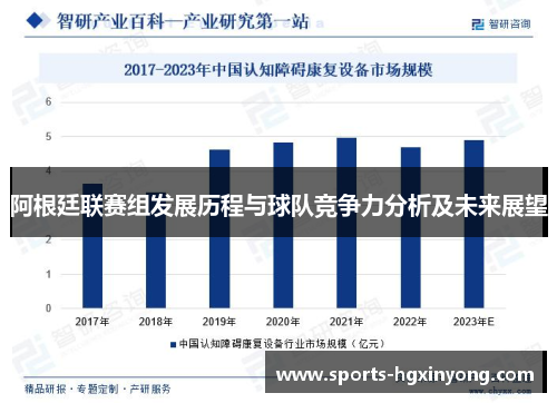 阿根廷联赛组发展历程与球队竞争力分析及未来展望
